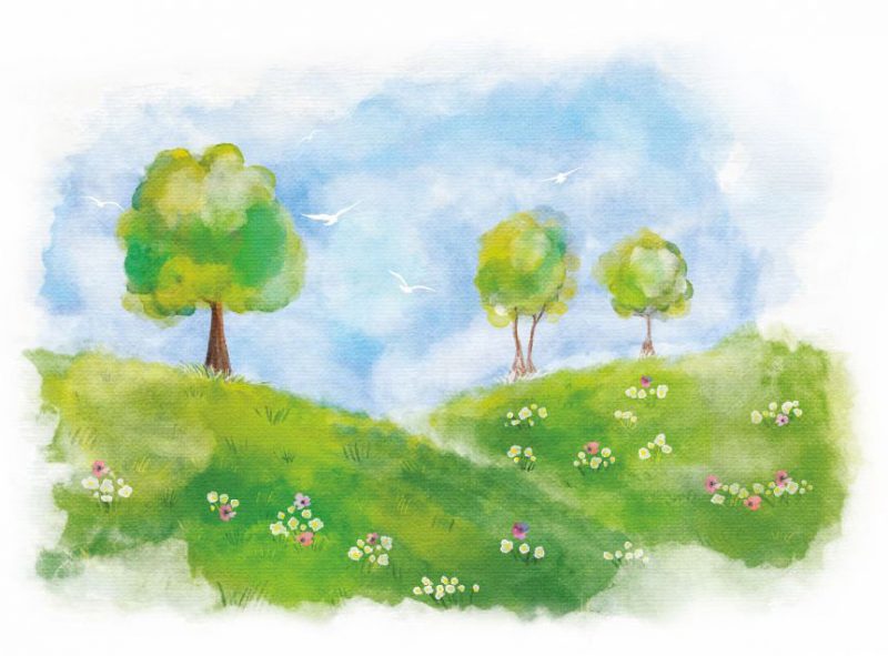 Farm Farm